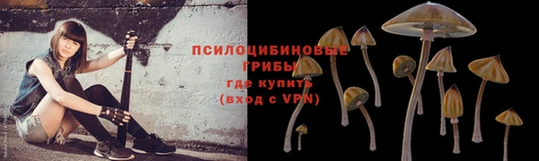 MDMA Арсеньев