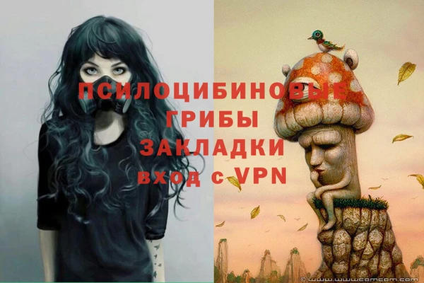 spice Балахна