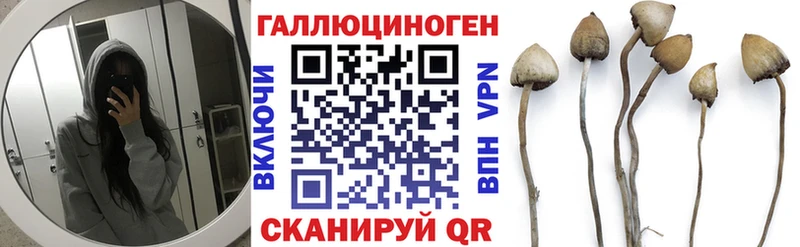 Галлюциногенные грибы Magic Shrooms blacksprut как войти Большой Камень