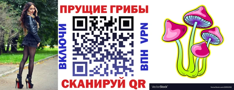 Псилоцибиновые грибы мицелий Большой Камень